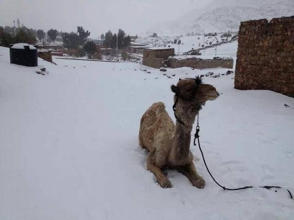 Salju di Mesir
