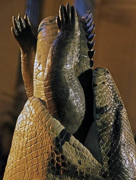 Titanoboa, ular terbesar yang tiada tandingannya hingga 